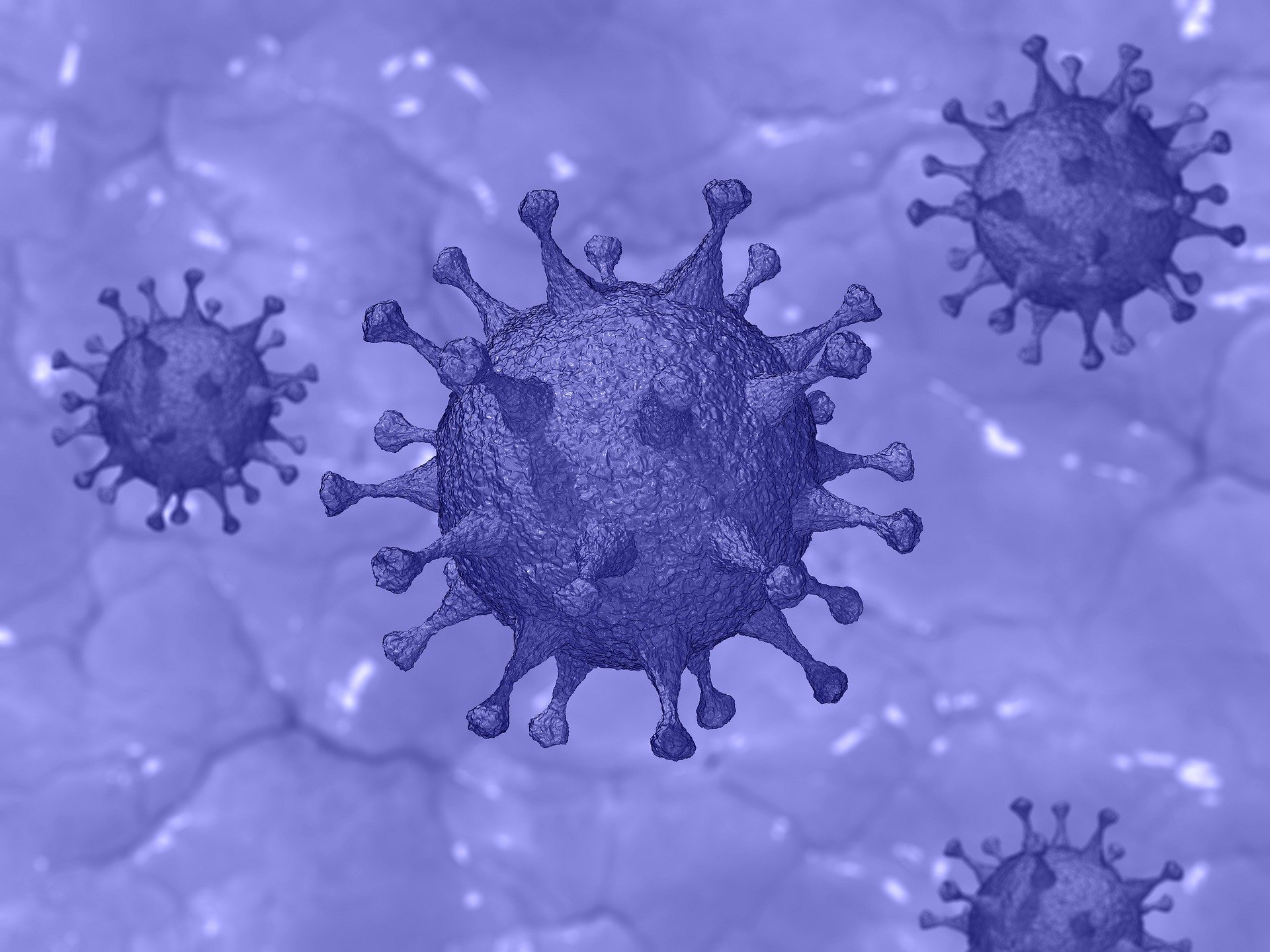 COVID-19 Coronavirus